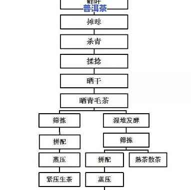 普洱茶制造流程图片及价格表，详细熟悉普洱茶的制作流程与价格表，一图看懂！