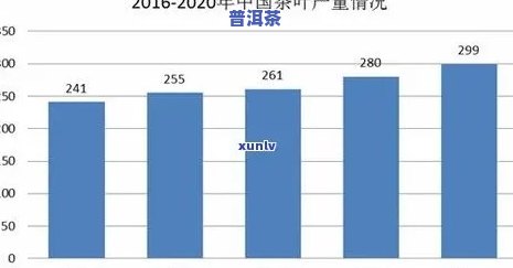 山东普洱茶市场现状与发展趋势分析