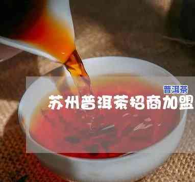 苏州普洱茶加盟条件及费用全揭秘