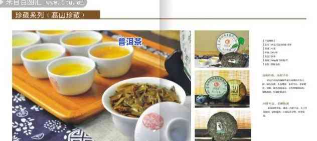 普洱茶宣传手册示例编写指南：内容、格式与图片设计