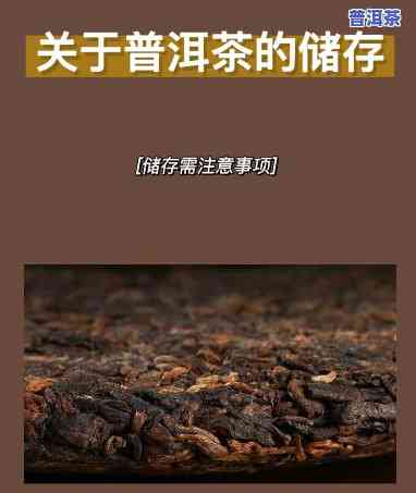 浙江存储普洱茶，浙江存储：探索普洱茶的陈化过程与品质提升