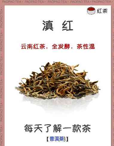 滇红是属于红茶吗，揭秘茶叶家族：滇红，你属于红茶吗？