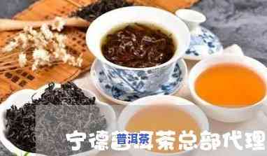 宁德普洱茶招商加盟-宁德普洱茶招商加盟电话