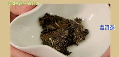 最新！大益7542普洱茶价格及品质全解析