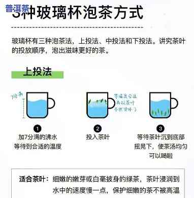 熟普洱茶玻璃杯泡制方法视频教程