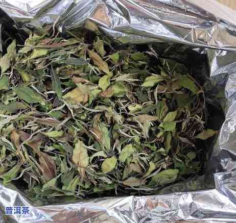 普洱茶加工的关键工序是什么，揭秘普洱茶加工的关键工序