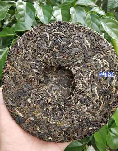 老班章普洱茶357克多少钱一饼，询问价格：老班章普洱茶357克每饼的价格是多少？