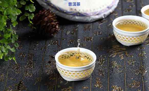 汕头普洱茶加盟条件-汕头普洱茶加盟条件是什么