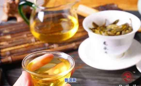 普洱茶比其他茶好吗，探讨普洱茶的特别魅力：是不是优于其他茶叶？