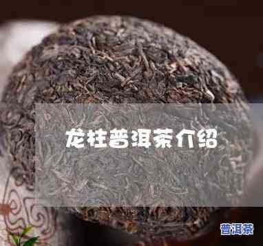 龙柱茶叶价格，探究龙柱茶叶的价格：一份全面的市场分析