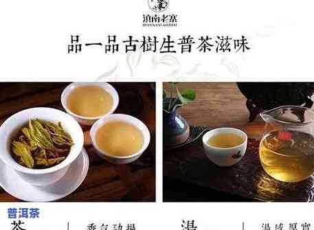 钦州普洱茶加盟条件-钦州普洱茶加盟条件是什么