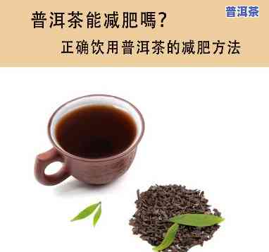 普洱茶和单丛茶减肥-普洱茶和单丛茶减肥哪个好