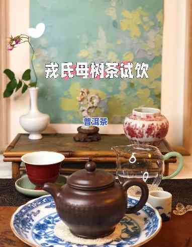 戎氏普洱茶母树茶，探寻古老味道：戎氏普洱茶母树茶的魅力与历史