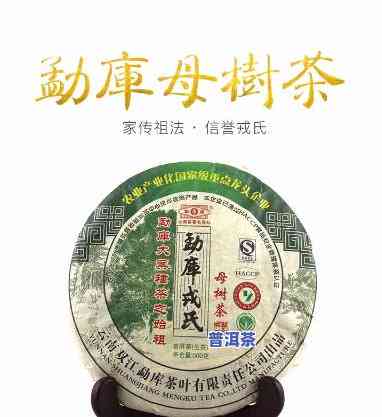 戎氏普洱茶母树茶，探寻古老味道：戎氏普洱茶母树茶的魅力与历史