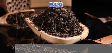 青海加盟普洱茶条件怎样？详解青海加盟店的申请请求与流程