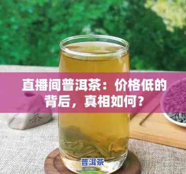 普洱直播茶叶为何如此便宜？详解起因