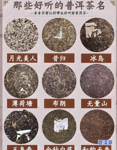 出奶香的普洱茶，怎样取个好听的名字？