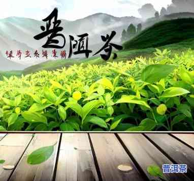 丽水普洱茶招商-丽水茶叶排行榜