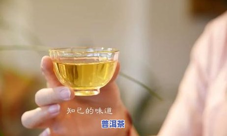 春夏喝的普洱茶有哪些好，推荐几款适合春夏饮用的优质普洱茶