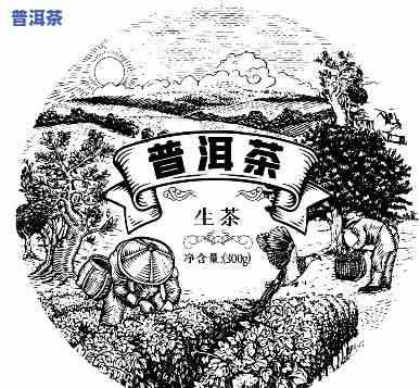 普洱茶图片唯美插画大全高清大图