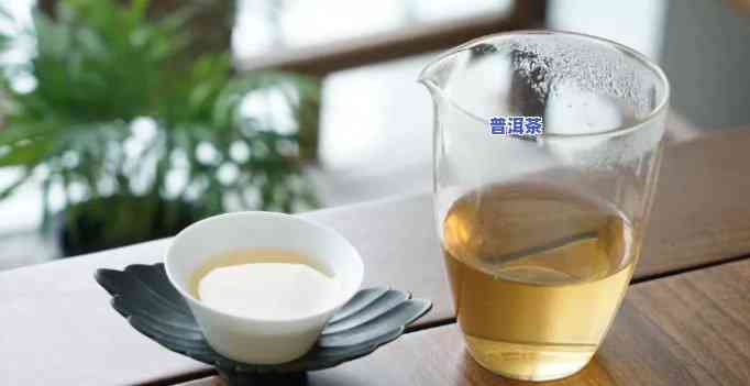 普洱茶新茶不能喝吗，新手指南：普洱茶新茶是不是能喝？你需要知道的事项