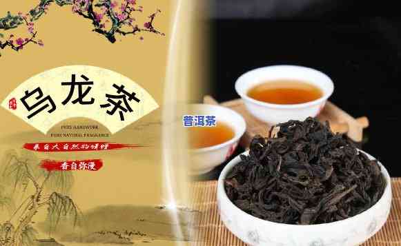 乌龙茶大红袍普洱茶有何区别？详解三者差异