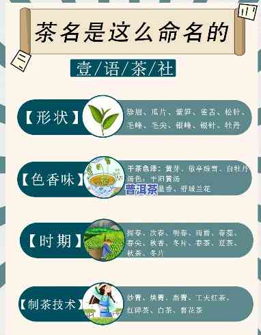 怎么给普洱茶起名，普洱茶命名的艺术：怎样为你的茶叶取个好名字？