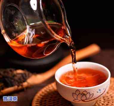 普洱茶属于什么种类的茶？探讨其分类与特点