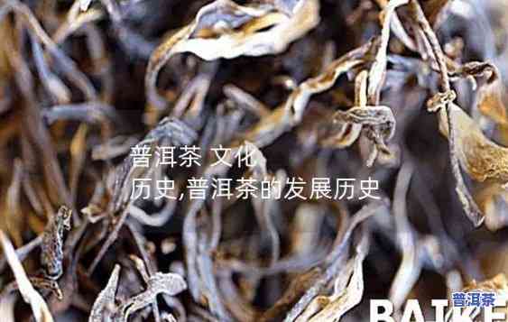 清代之后普洱茶的发展历程-清代之后普洱茶的发展历程简述