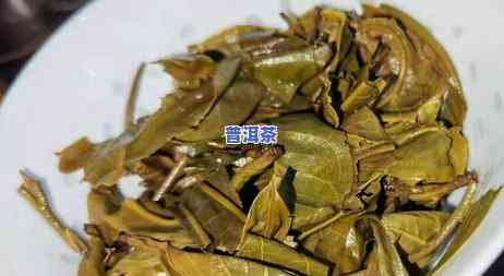 收藏级别普洱茶：属于什么茶类？类型解析