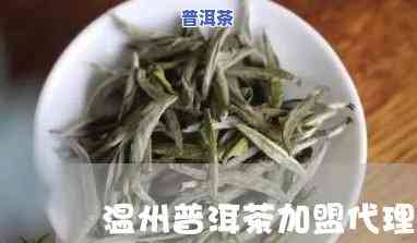 温州普洱茶代理-温州普洱茶代理电话