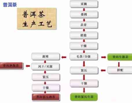 浙江普洱茶代理加工全攻略：步骤、产品介绍与市场分析