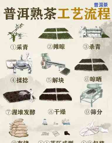 浙江普洱茶代理加工全攻略：步骤、产品介绍与市场分析