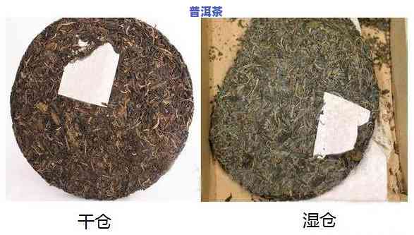 怎样区分普洱茶的干仓与湿仓？全面解析其区别