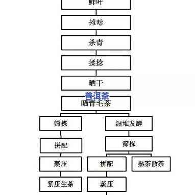 青海加盟普洱茶流程图，熟悉青海加盟普洱茶的流程，一图看懂！