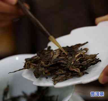 普洱茶塑封起来到底好不好，普洱茶塑封：好处与坏处全解析