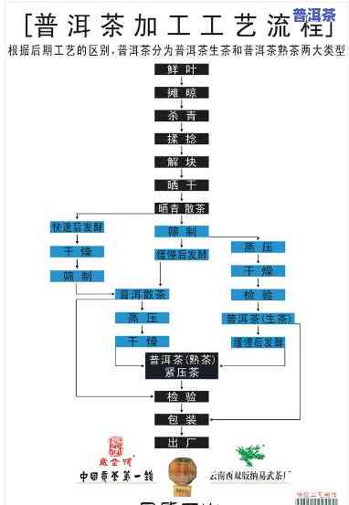 青海加盟普洱茶流程-青海加盟普洱茶流程图