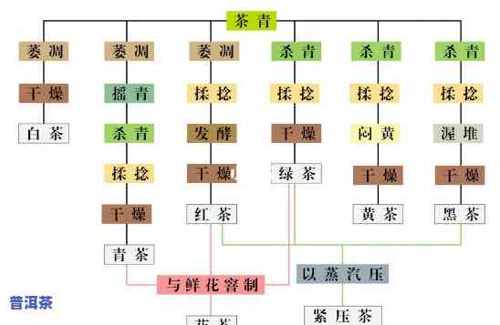 青海加盟普洱茶流程-青海加盟普洱茶流程图