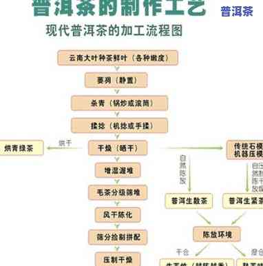 青海加盟普洱茶流程-青海加盟普洱茶流程图