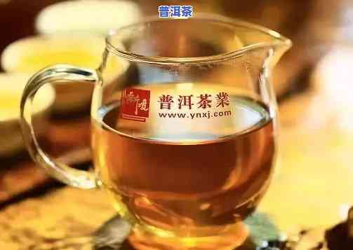 上海普洱茶总部代理-上海普洱茶店