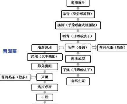 普洱茶发酵工艺流程：从鲜叶到熟茶的全过程解析与图片展示