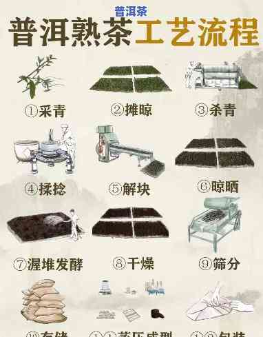 普洱茶发酵工艺流程：从鲜叶到熟茶的全过程解析与图片展示