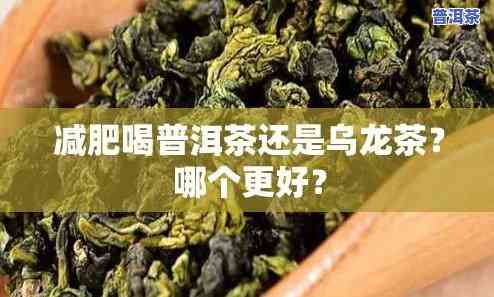 减肥喝普洱茶好还是乌龙茶好，普洱茶 vs 乌龙茶：哪个更适合减肥？