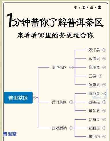 普洱茶四大产区详细介绍，深度解析：普洱茶四大产区的特色与魅力