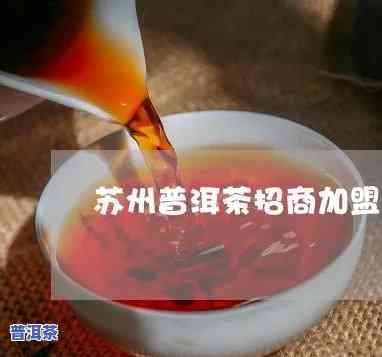 苏州资深普洱茶招商-苏州资深普洱茶招商电话