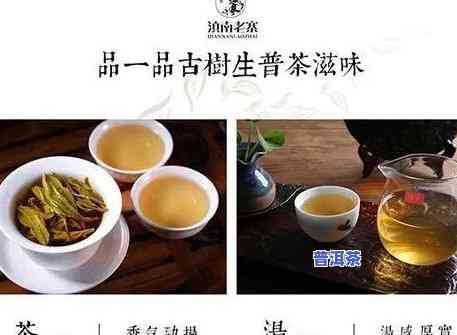 苏州资深普洱茶招商-苏州资深普洱茶招商电话