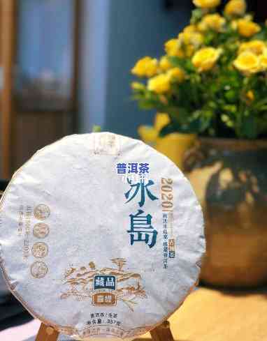 全面解析：冰岛普洱熟茶的优缺点是什么？