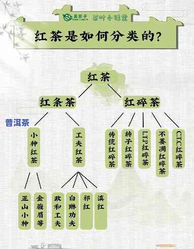 滇红工夫茶：详解其种类与分类