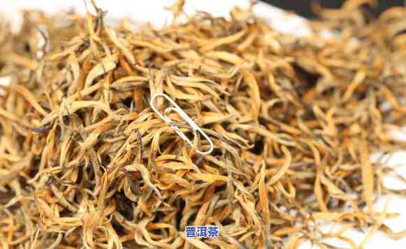 滇红大金芽的功效与作用，探秘滇红大金芽：功效与作用全方位解析