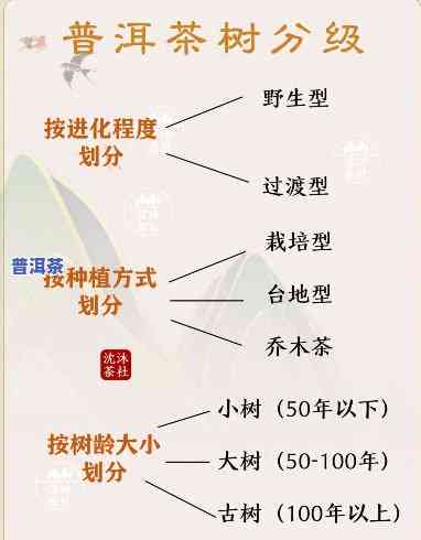 普洱茶的产地是哪个省，探寻美味：普洱茶的故乡在哪里？——揭秘普洱茶的产地省份